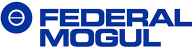 Federal Mogul